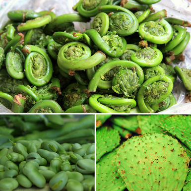 International-vegetables-season-spring
