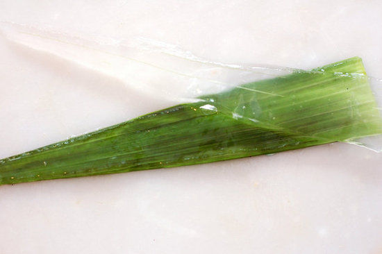 8c2544fed1df5ab0_aloeverafillet
