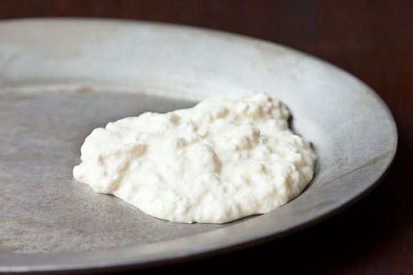 Ricotta