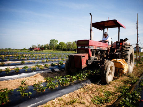 Npr_local_farm_greens