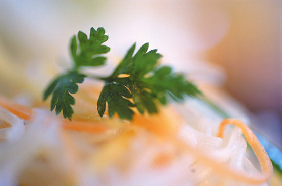 7c5ba02d907ec097_chervil.xxxlarge_1