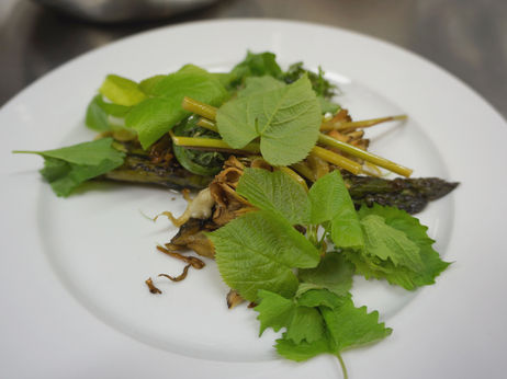 Foraged-meal_leif