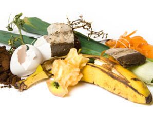Compost-298x232