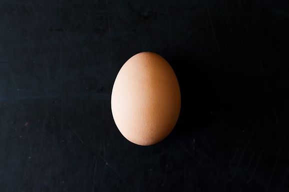 Egg