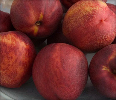 Fruit_dried-nectarines