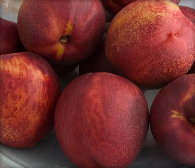 Fruit_dried-nectarines