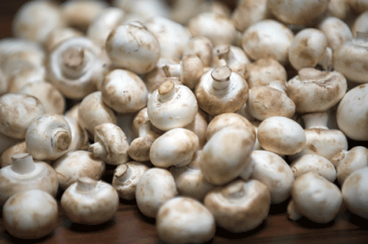 Mushrooms