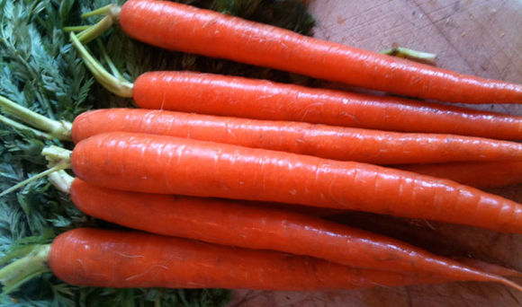 Testcarrot