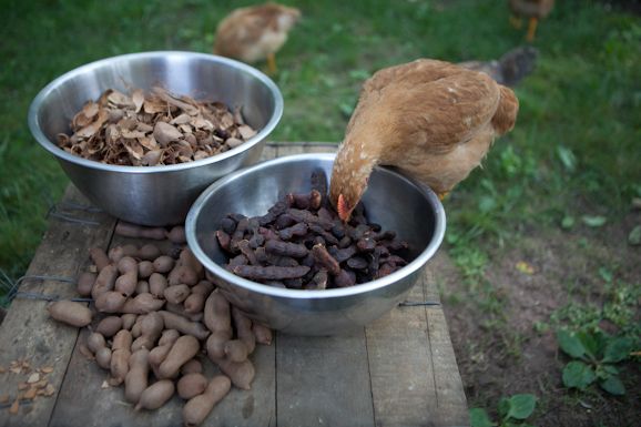 Bigfeast_19