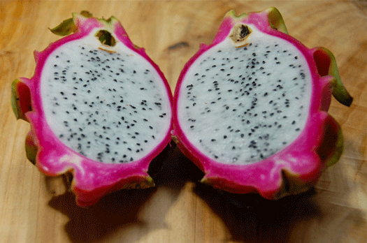 Dragonfruit1