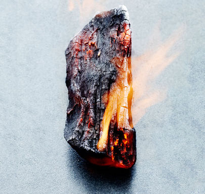 Hardwood-charcoal-646