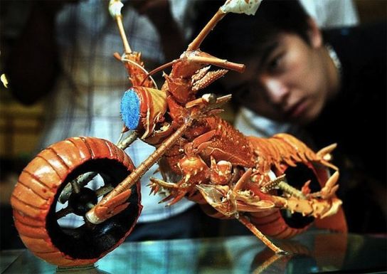 Huangminglobstermotorcycle1