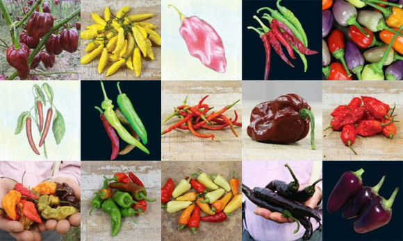 Varieties1