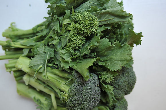 Broccoli