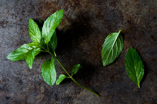 300_your_best_recipe_with_mint