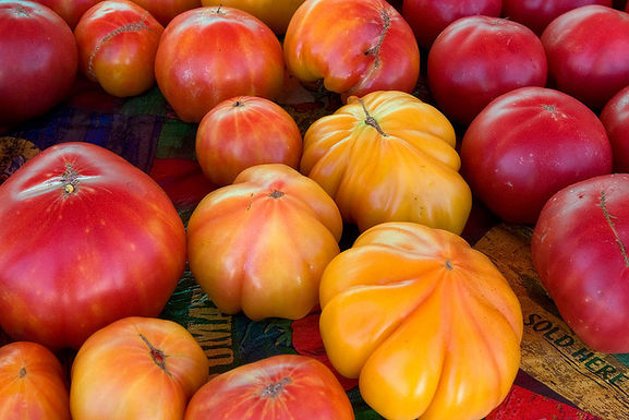 Heirloom_tomatoes
