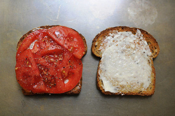 Tomato_sammy
