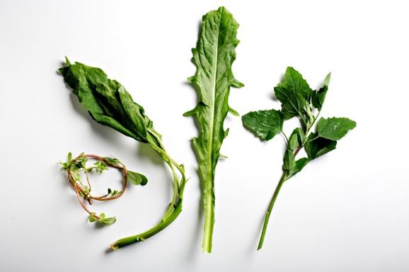 Food030_1340240401
