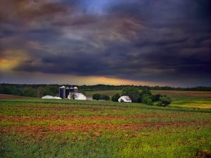 Farm