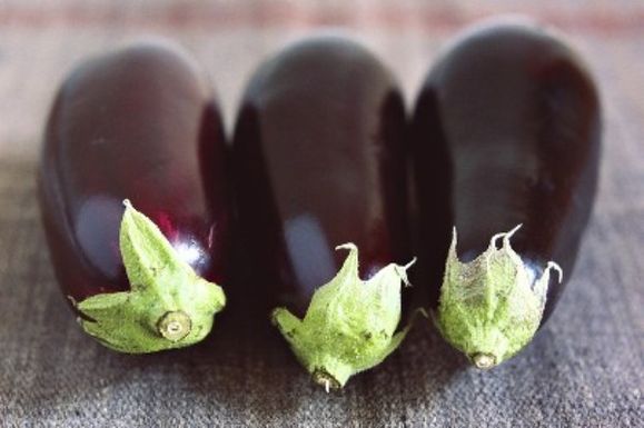 Perry-eggplant2