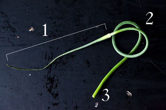 Scapes_1