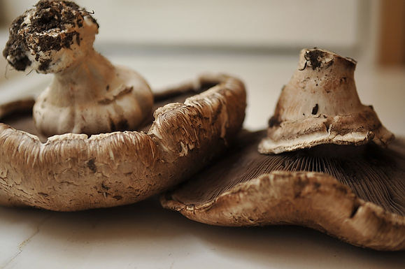Mushrooms