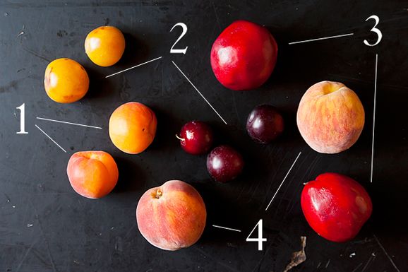 Stone_fruit_1