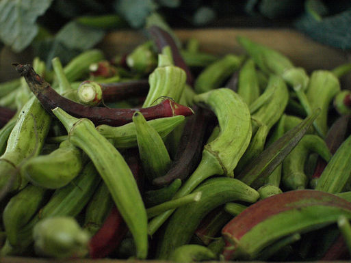 Okra_image