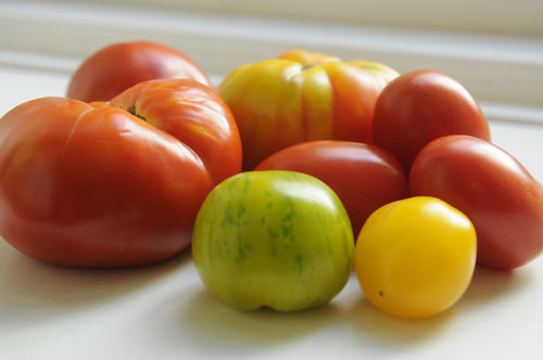 Tomatoeslowres_2278
