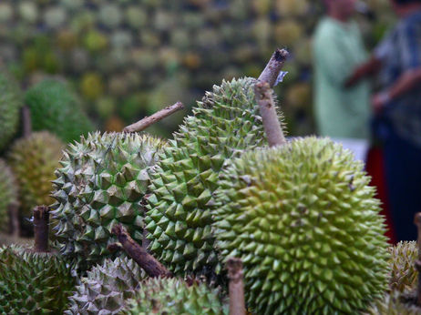 Durianmarket