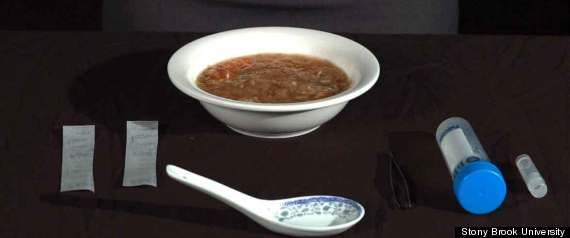 R-endangered-shark-fin-soup-large570