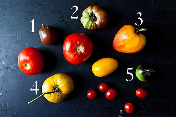 Tomatoes_1