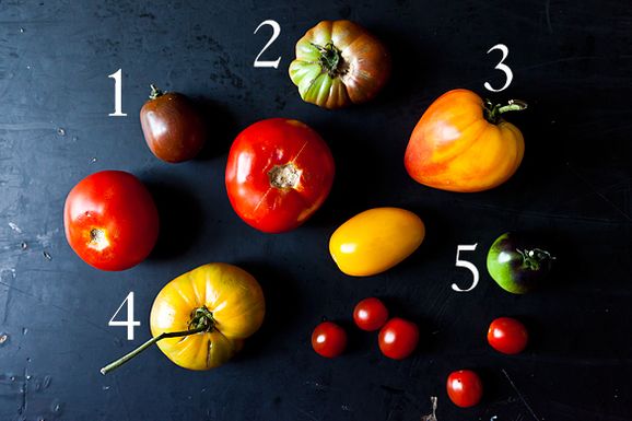 Tomatoes_1