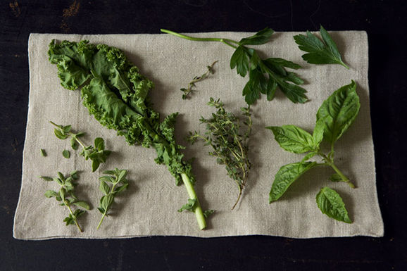 Pestoherbs