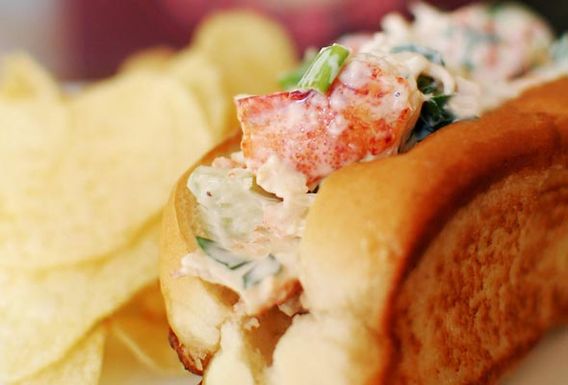 Lobster-roll
