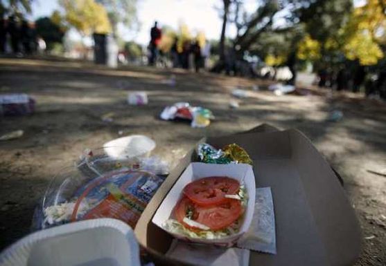 La-hm-green-guilt-survey-20120815-002