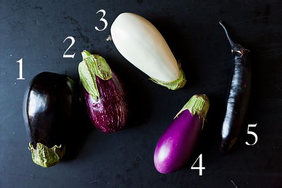Eggplant_1