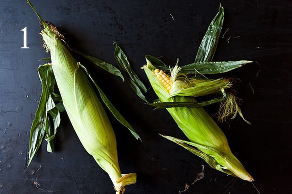 Corn_1