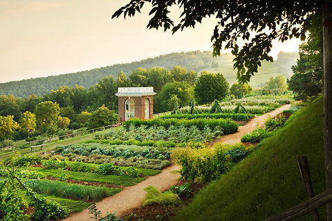 Monticello-blog480