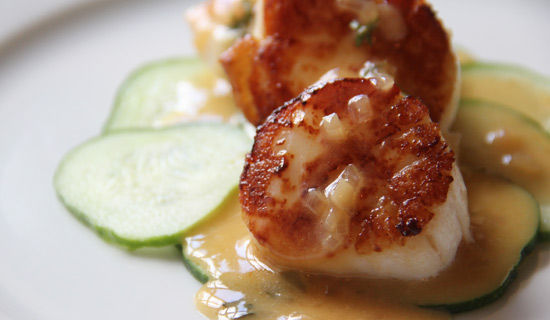 Scallops_550x320