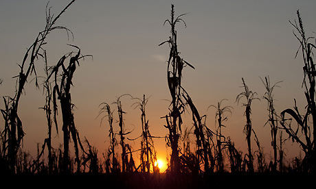 Us-drought-008