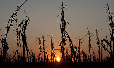 Us-drought-008