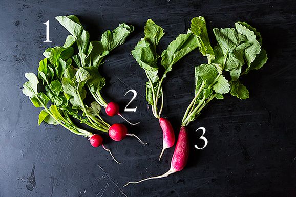Radishes_1