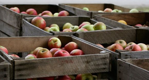 Apple-crates