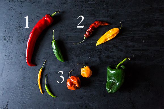 Peppers_1