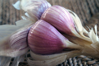 Beck_garlic_feature