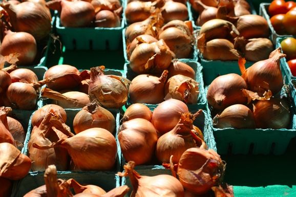2012-10-08-shallots