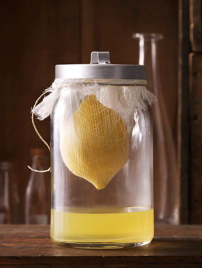 02limoncello-cecchini-tmagsf