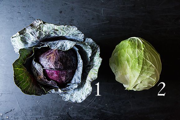 Cabbage_1
