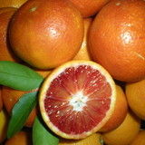 Prod_11702_12240_m